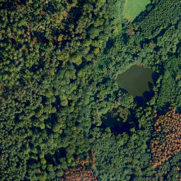 Satellite imagery of Herrnbirken, DE