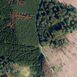 Satellite imagery of Zipfen, DE