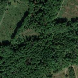 Satellite imagery of Heidelbeerberg, DE