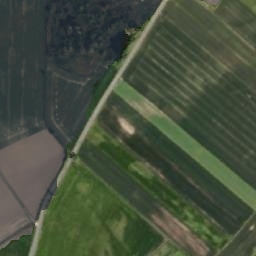 Satelita
