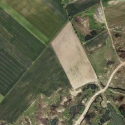 Satelita