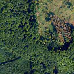 Satellite imagery of Schöll, DE