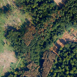 Satellite imagery of Herrnbirken, DE