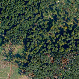 Satellite imagery of Herrnbirken, DE