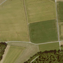Satellite imagery of Grenzstein Wirbelau Seelbach, FR