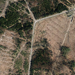 Satellite imagery of Großer Först, DE