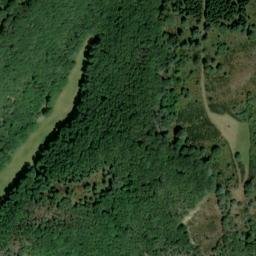 Satellite imagery of Auf Weitscheid, DE