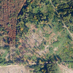 Satellite imagery of Köppel, DE