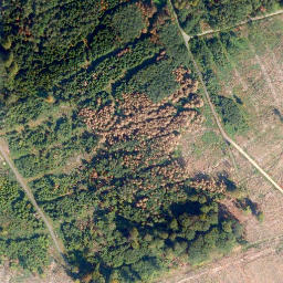 Satellite imagery of Köppel, DE