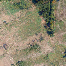 Satellite imagery of Köppel, DE