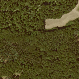 Satellite imagery of Grenzstein Wirbelau Seelbach, FR