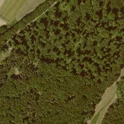 Satellite imagery of Grenzstein Wirbelau Seelbach, FR