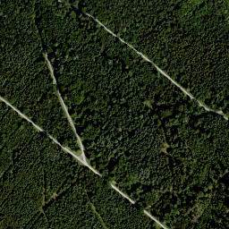 Satellite imagery of Großer Lindenberg, DE