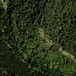 Satellite imagery of Großer Lindenberg, DE