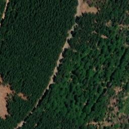 Satellite imagery of Steger, DE