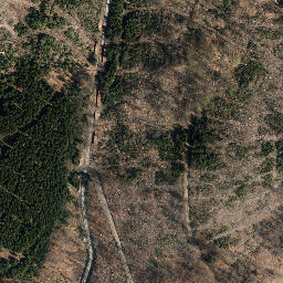 Satellite imagery of Großer Först, DE