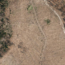 Satellite imagery of Großer Först, DE