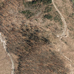 Satellite imagery of Großer Först, DE