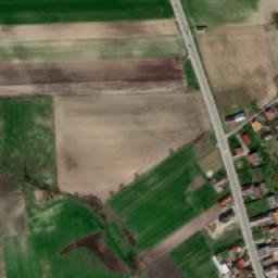 Satelita