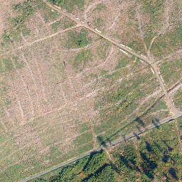 Satellite imagery of Köppel, DE