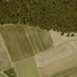 Satellite imagery of Grenzstein Wirbelau Seelbach, FR