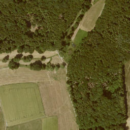 Satellite imagery of Grenzstein Wirbelau Seelbach, FR