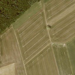 Satellite imagery of Grenzstein Wirbelau Seelbach, FR
