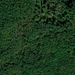 Satellite imagery of Igelsheck, DE