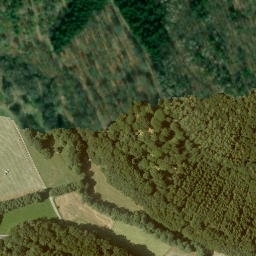Satellite imagery of Kleiner Nallenberg, DE