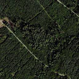 Satellite imagery of Großer Lindenberg, DE