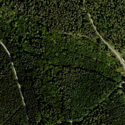 Satellite imagery of Großer Lindenberg, DE