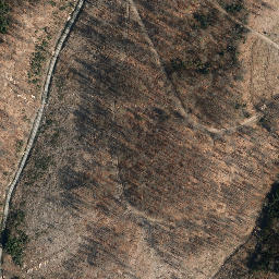 Satellite imagery of Großer Först, DE