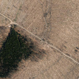 Satellite imagery of Großer Först, DE