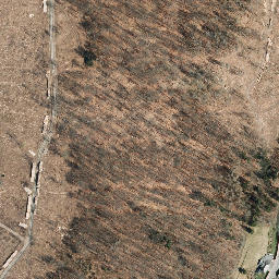 Satellite imagery of Großer Först, DE