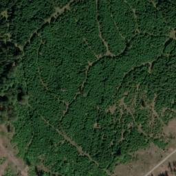 Satellite imagery of Trig point near Wurzbach, Thuringia (DE), DE