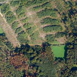 Satellite imagery of Köppel, DE