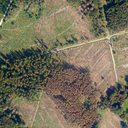 Satellite imagery of Biebrichs-Kopf, DE