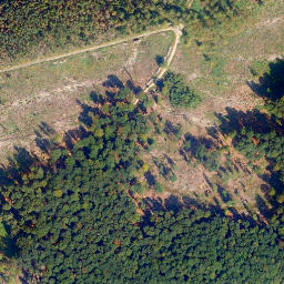 Satellite imagery of Biebrichs-Kopf, DE