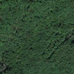 Satellite imagery of Höchstbaum, DE