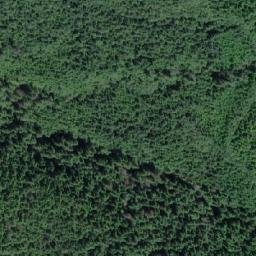 Satellite imagery of D'Arcy Point, CA