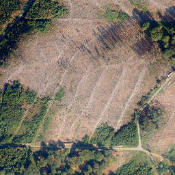 Satellite imagery of Alarmstange, DE