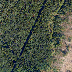 Satellite imagery of Biebrichs-Kopf, DE