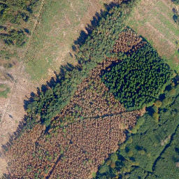 Satellite imagery of Biebrichs-Kopf, DE