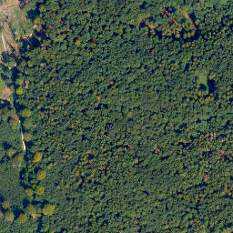 Satellite imagery of Biebrichs-Kopf, DE