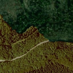 Satellite imagery of Reesberg, DE