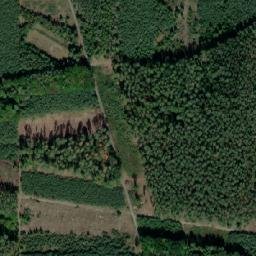Satellite imagery of U Formanské cesty [Dolní Bousov-Bechov], CZ