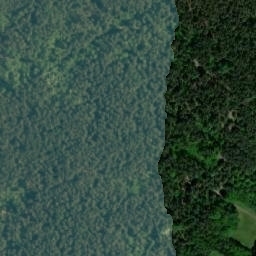 Satellite imagery of Ryczow - Ruiny, PL