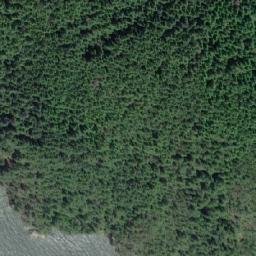Satellite imagery of D'Arcy Point, CA