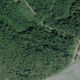 Satellite imagery of D'Arcy Point, CA