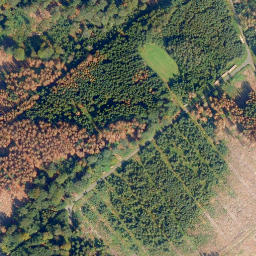 Satellite imagery of Alarmstange, DE